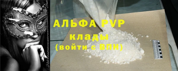 стаф Вяземский