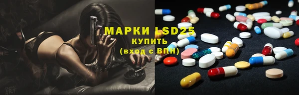 стаф Вяземский