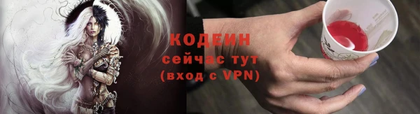 стаф Вяземский