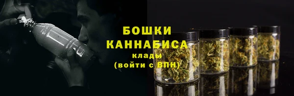 СК Володарск