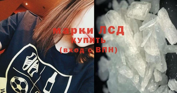 стаф Вяземский