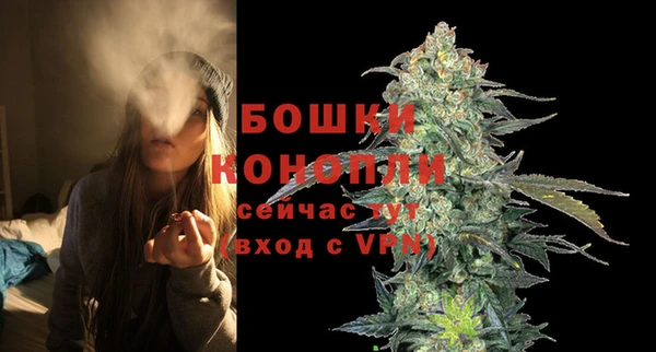 стаф Вяземский
