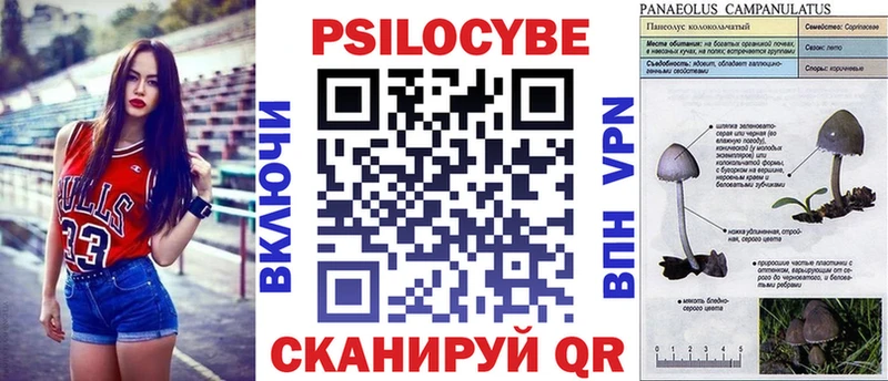 дарк нет телеграм  цены   omg ТОР  Королёв  Галлюциногенные грибы ЛСД 